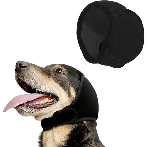 Orejas Antruidos Para Perro
