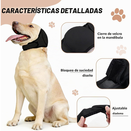 Orejas Antruidos Para Perro