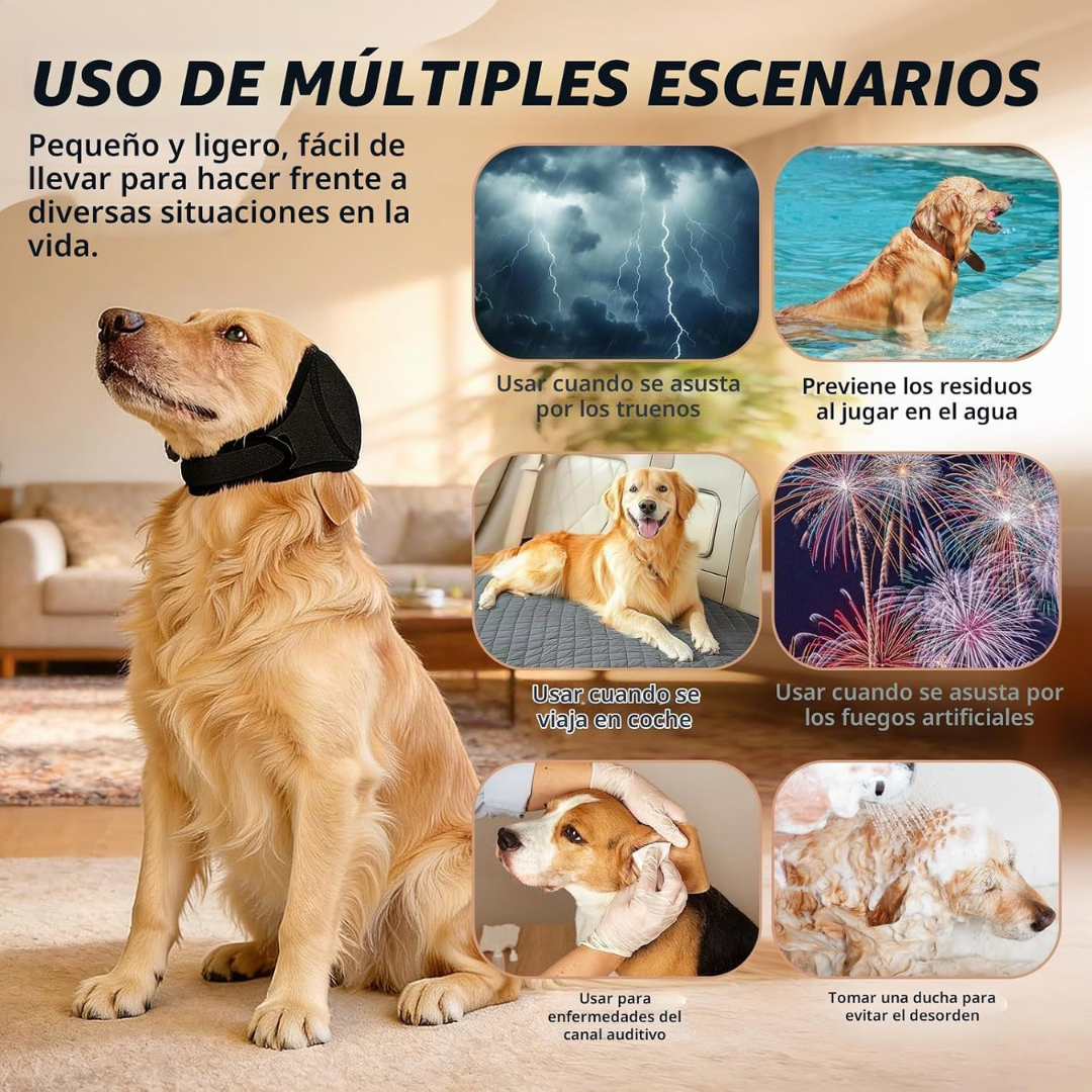 Orejas Antruidos Para Perro