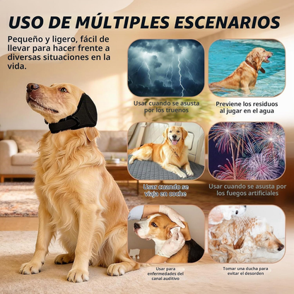 Orejas Antruidos Para Perro