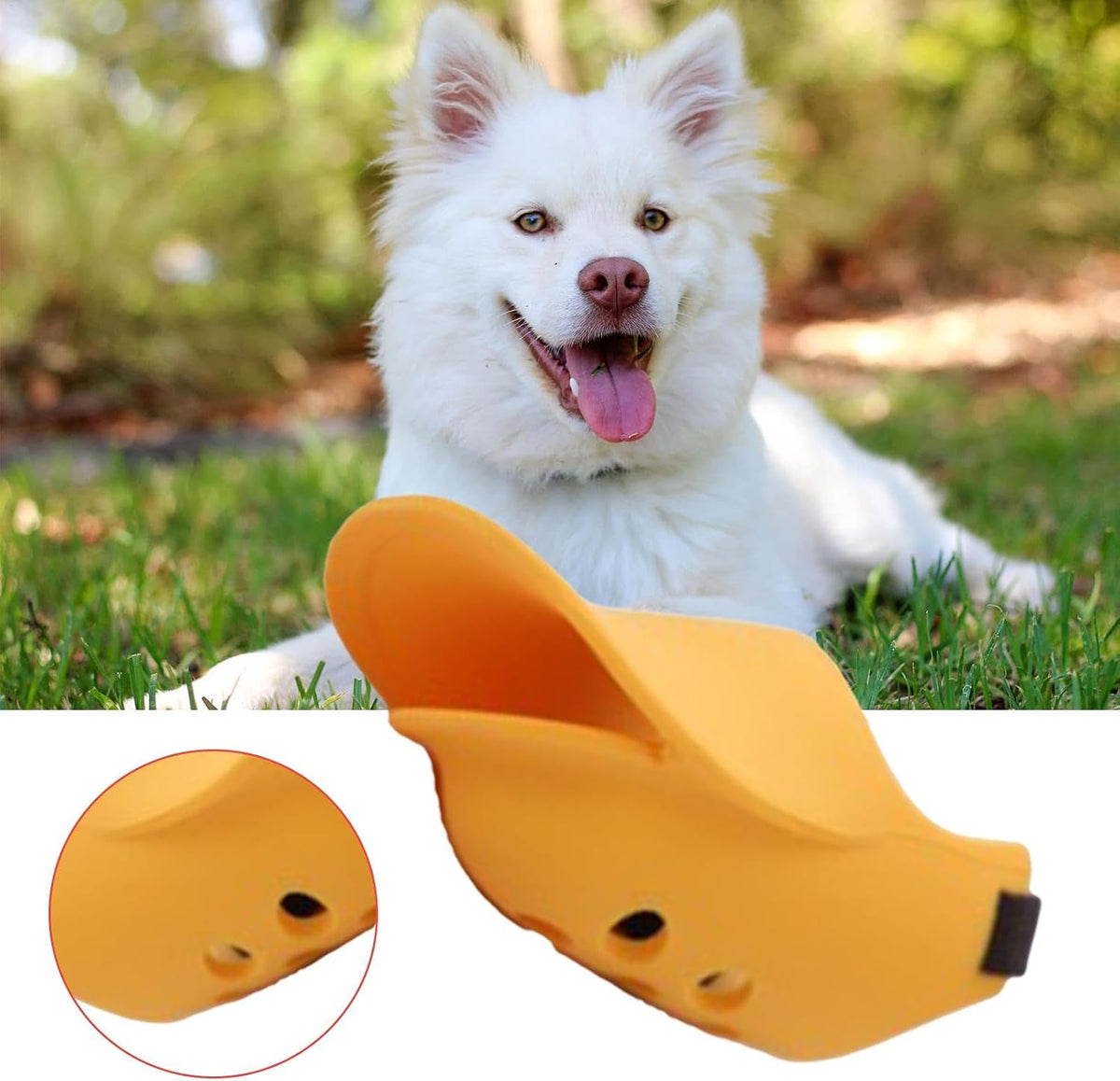 Bozal anti ladridos para perro