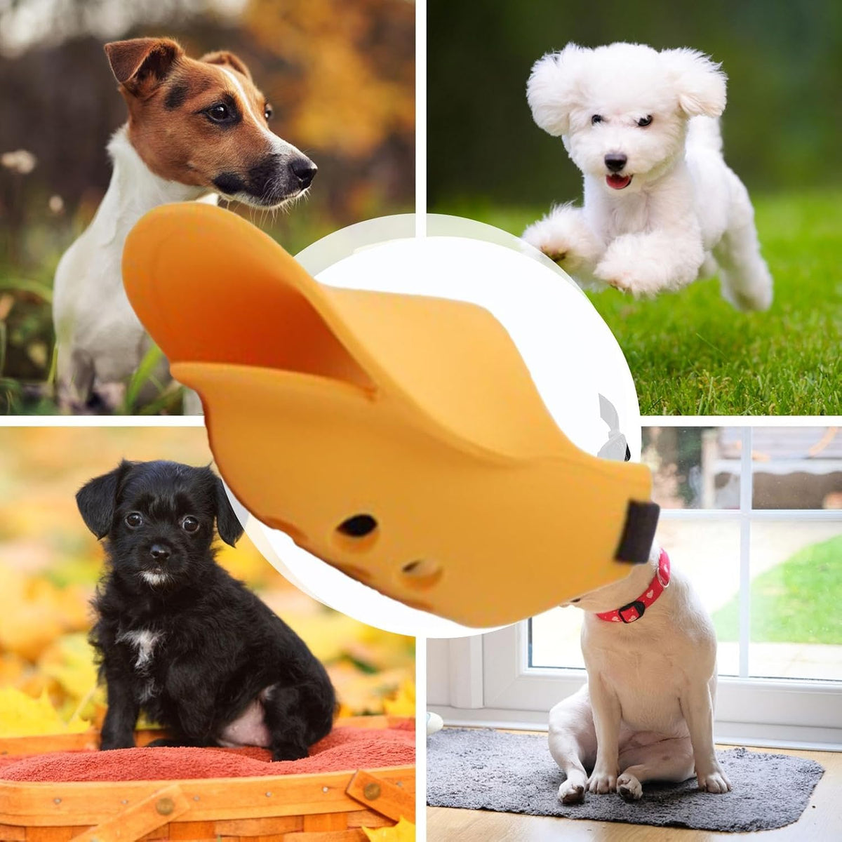 Bozal anti ladridos para perro